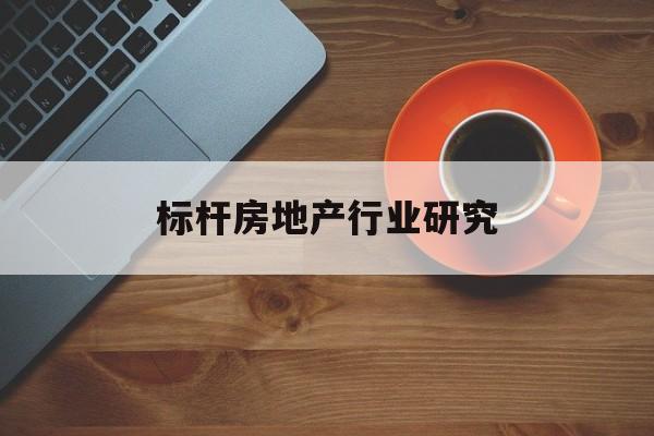 资阳市标杆房地产行业研究(房地产领域的标杆人物)