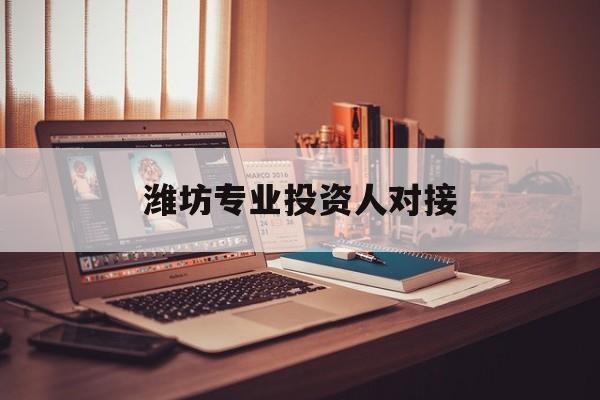 资阳市潍坊专业投资人对接(潍坊专业投资人对接中心)