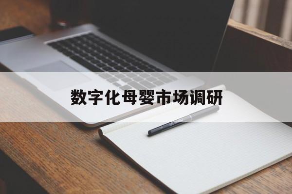 资阳市数字化母婴市场调研(数字化母婴市场调研报告)
